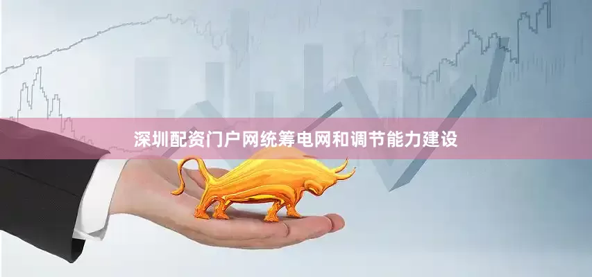 深圳配资门户网统筹电网和调节能力建设