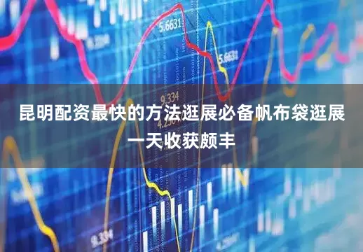 昆明配资最快的方法逛展必备帆布袋逛展一天收获颇丰