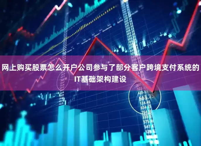 网上购买股票怎么开户公司参与了部分客户跨境支付系统的IT基础架构建设