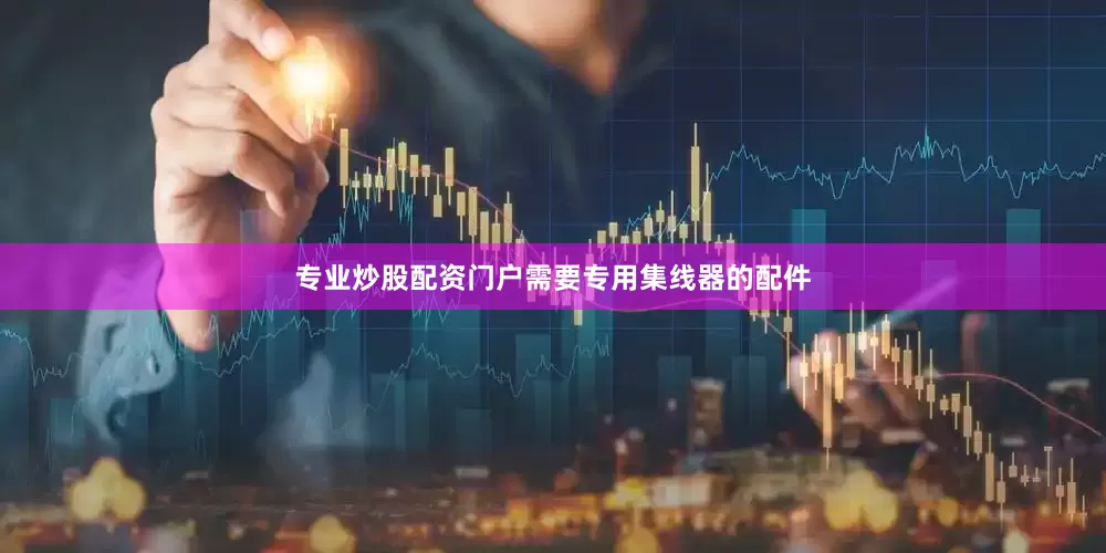 专业炒股配资门户需要专用集线器的配件