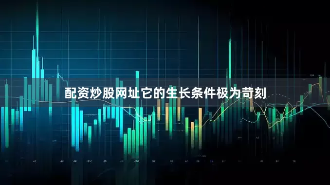 配资炒股网址它的生长条件极为苛刻